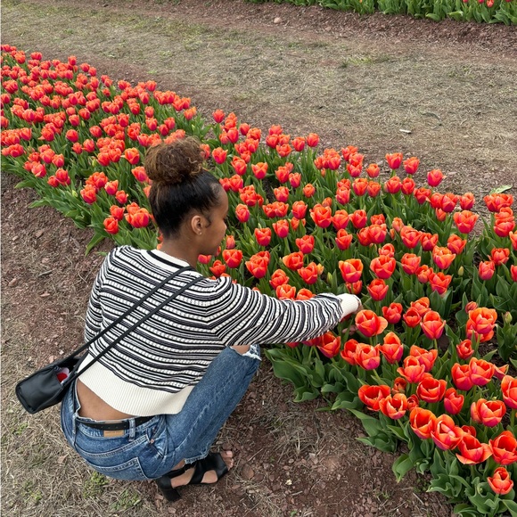 Meet your Posher, Elasia - Picture 1 of 2